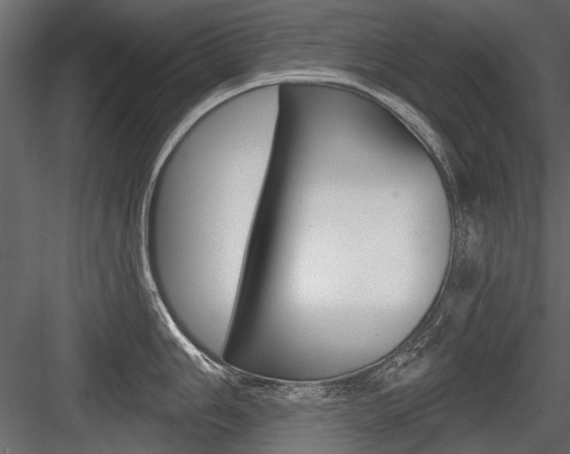 X0000084601006200702231031