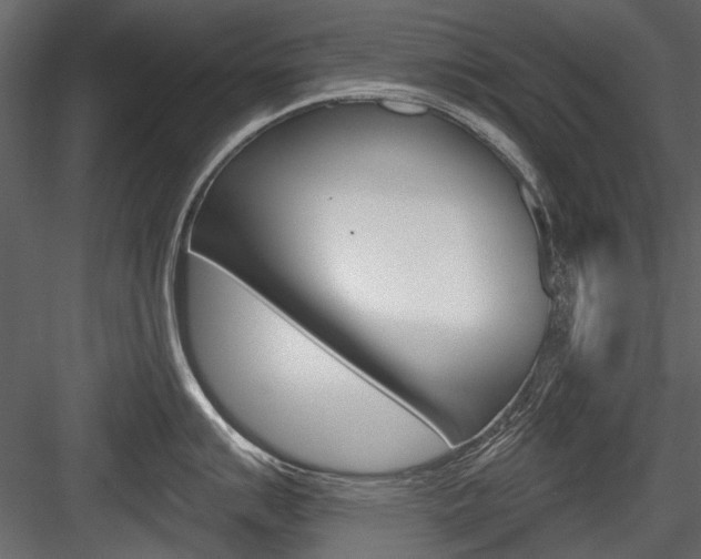 X0000084601007200702231031