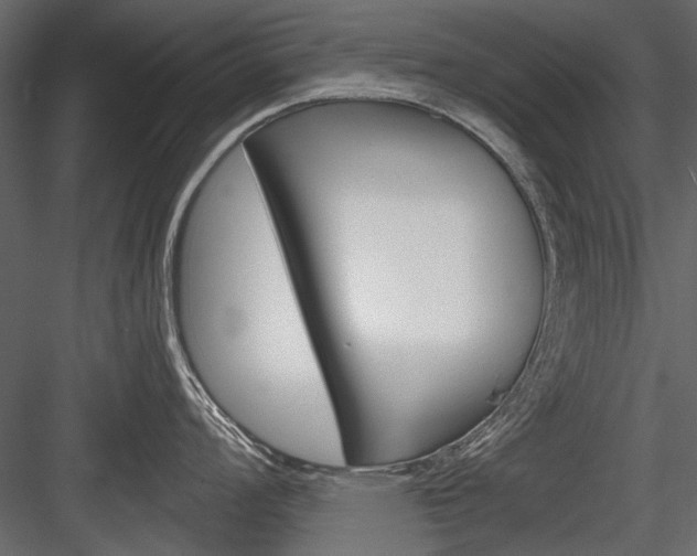 X0000084601008200702231031