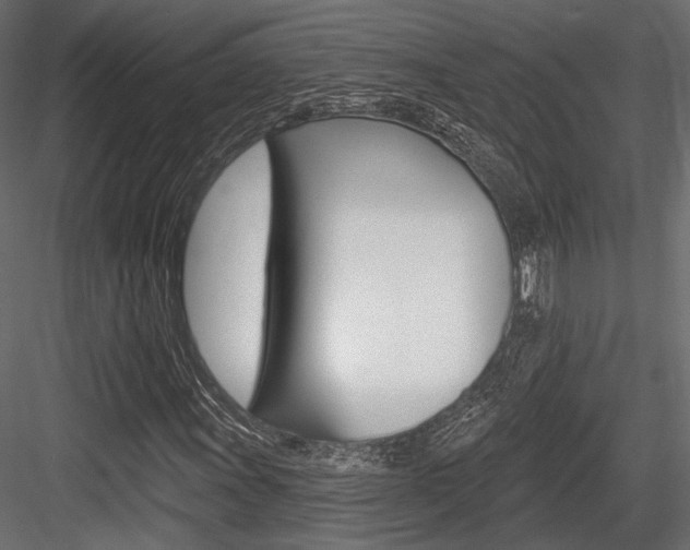 X0000084601011200702231030