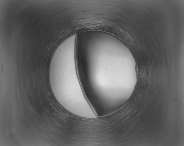 X0000084601012200702231030