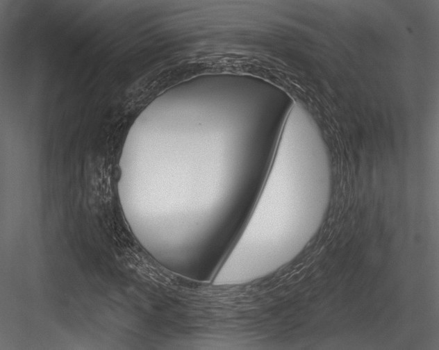 X0000084601013200702231030