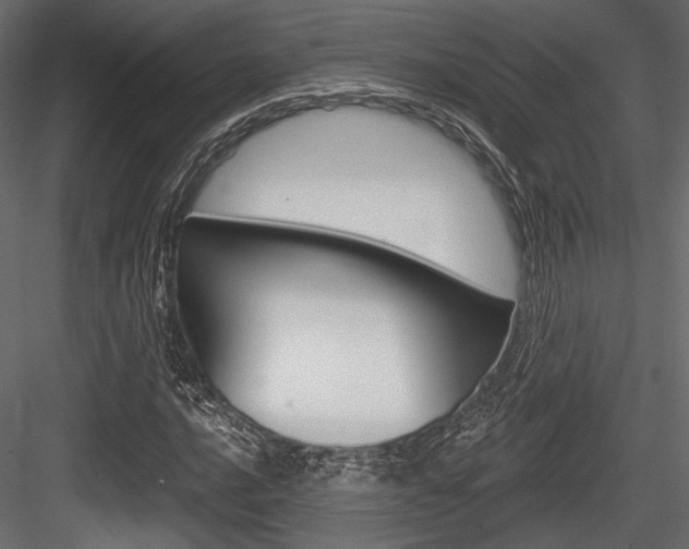 X0000084601016200702231030