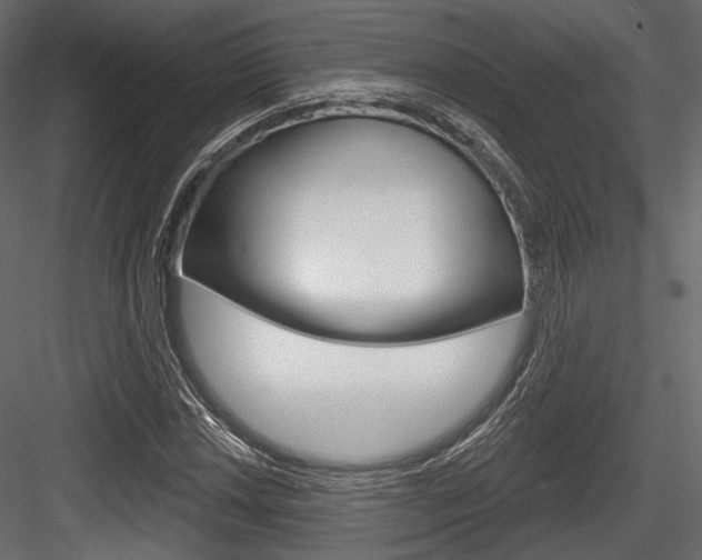 X0000084601018200702231030