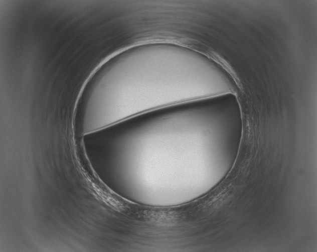 X0000084601020200702231030