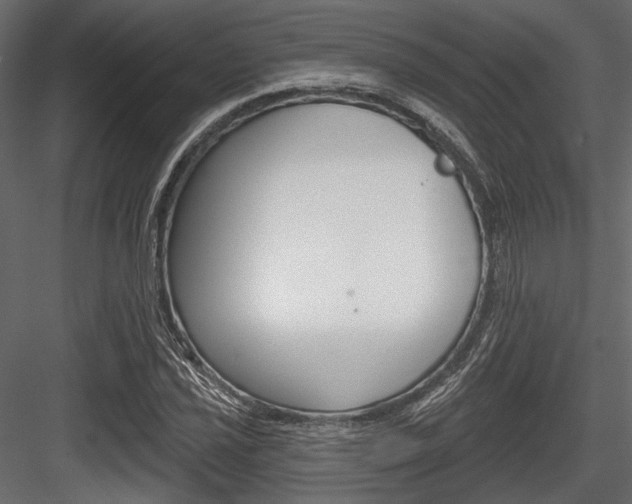 X0000084601021200702231030