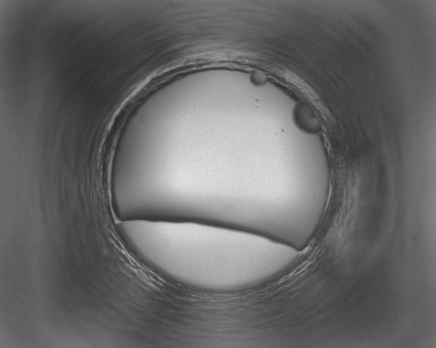 X0000084601023200702231030