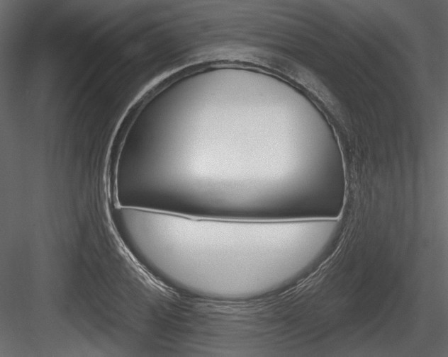 X0000084601028200702231030