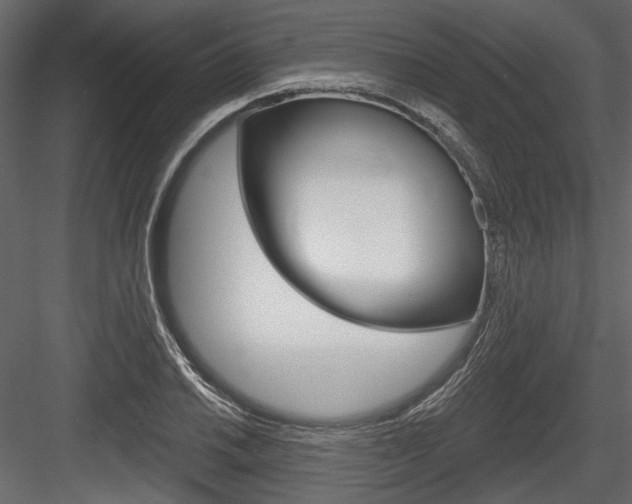 X0000084601030200702231030