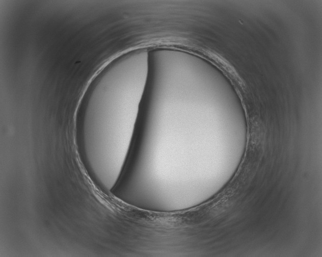X0000084601031200702231030