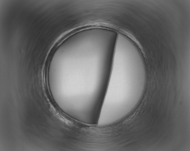 X0000084601032200702231030