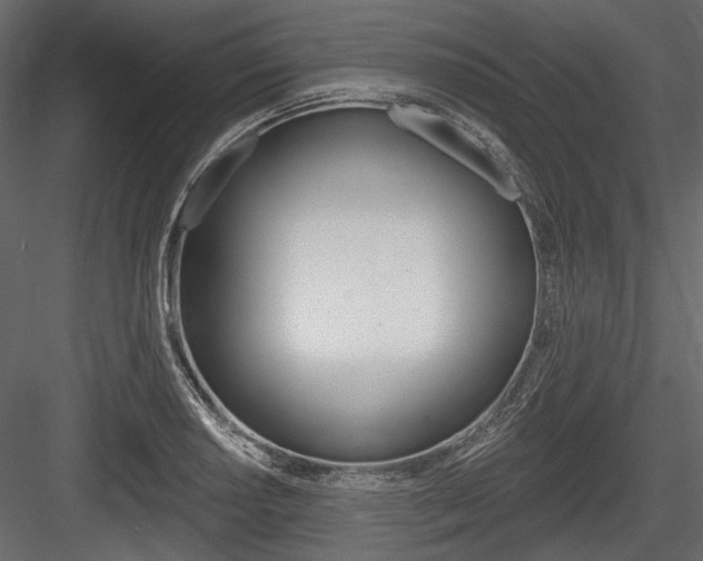 X0000084601034200702231031