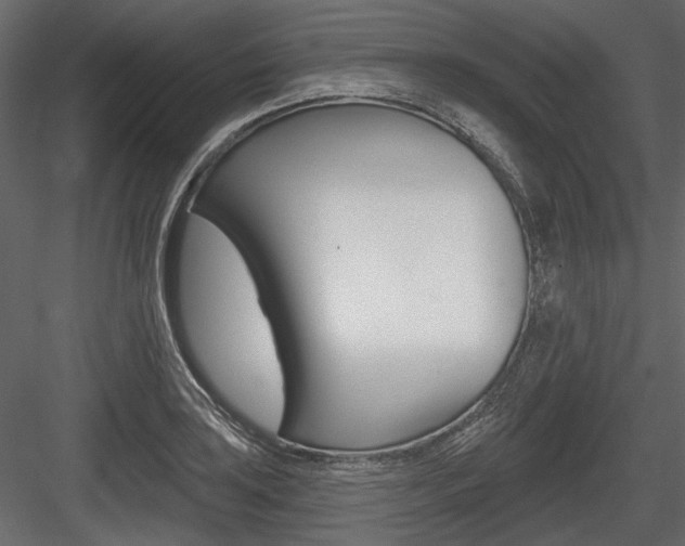 X0000084601035200702231031