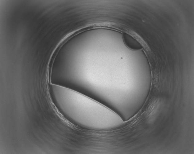 X0000084601036200702231031