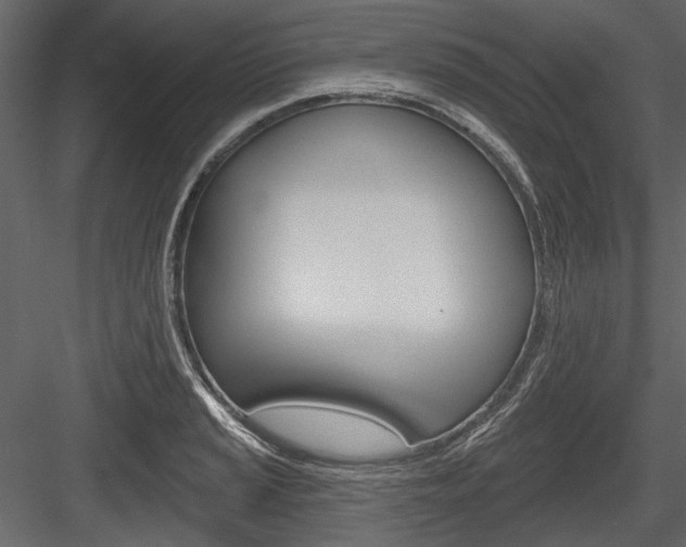 X0000084601037200702231031