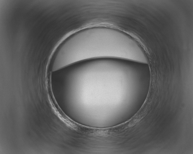 X0000084601038200702231031