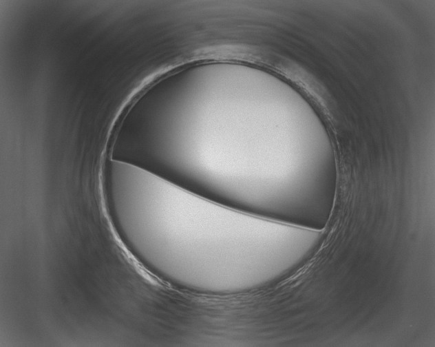 X0000084601040200702231031