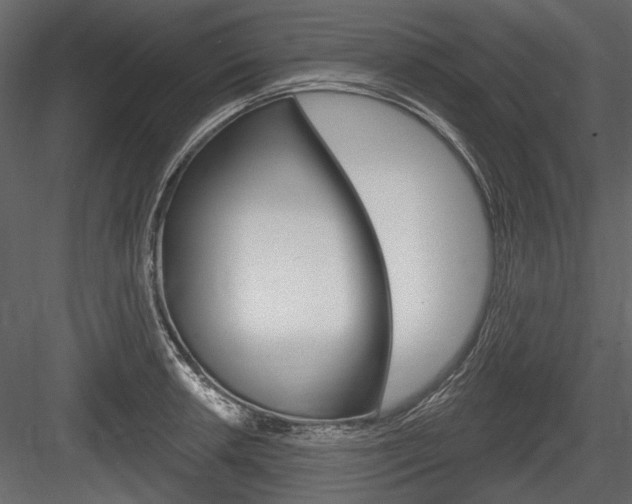 X0000084601042200702231031
