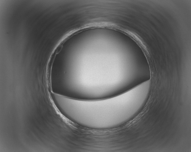 X0000084601046200702231031