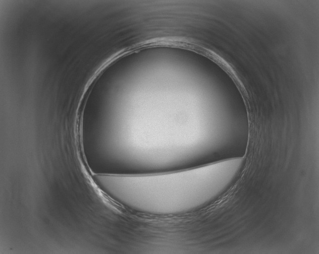 X0000084601050200702231031
