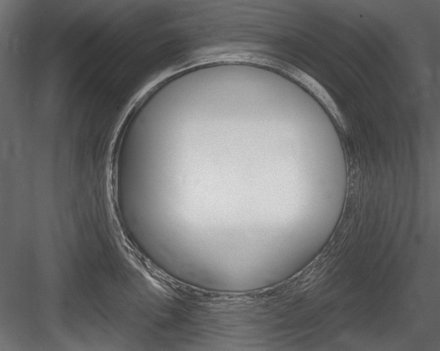 X0000084601051200702231031