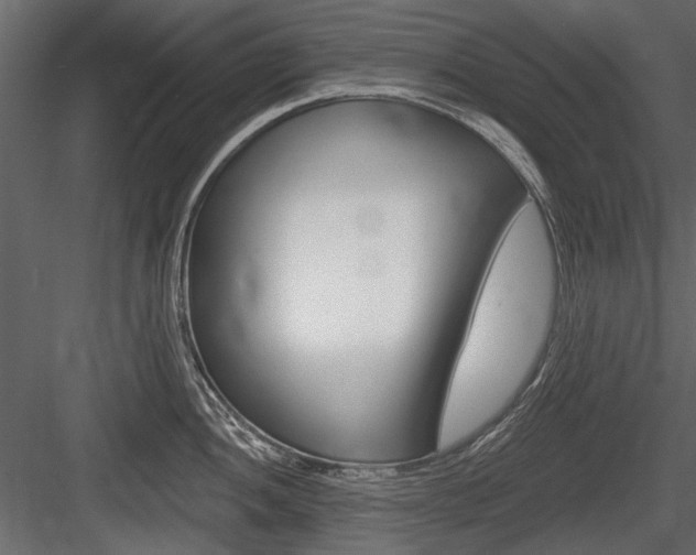 X0000084601052200702231031