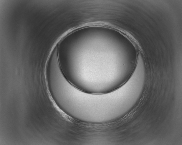 X0000084601054200702231031