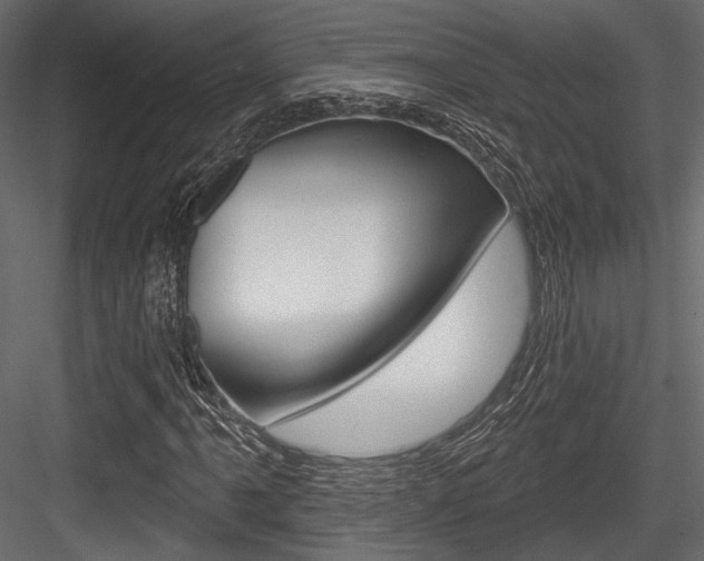 X0000084601061200702231030