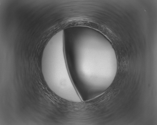 X0000084601062200702231030