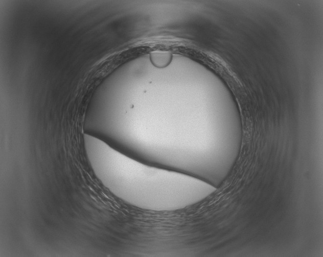 X0000084601063200702231030