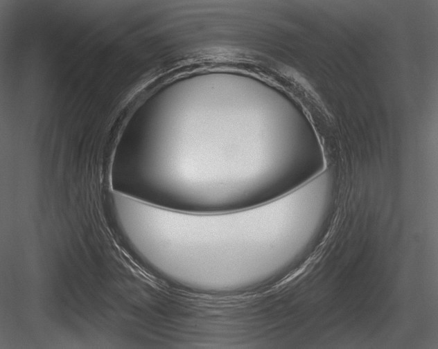 X0000084601065200702231030