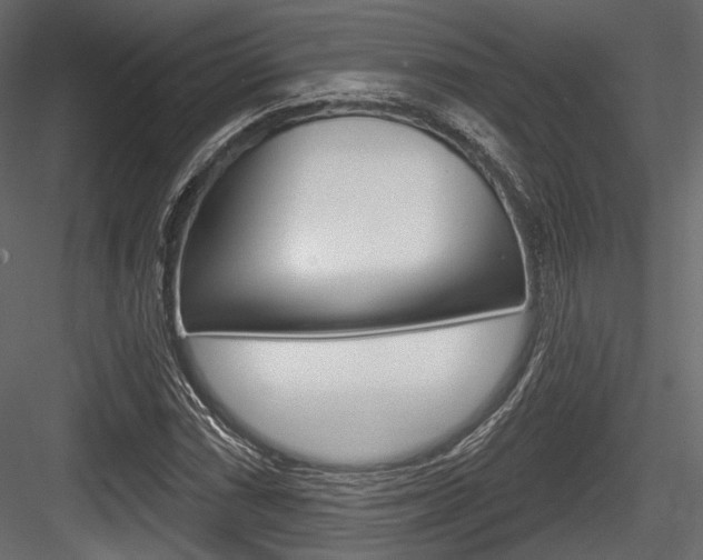 X0000084601066200702231030