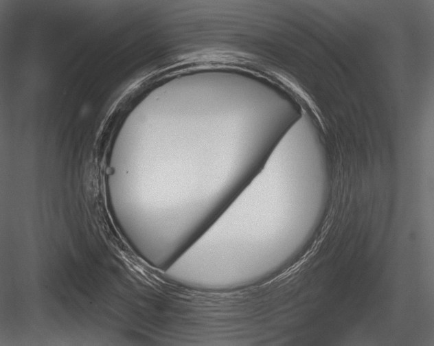 X0000084601067200702231030