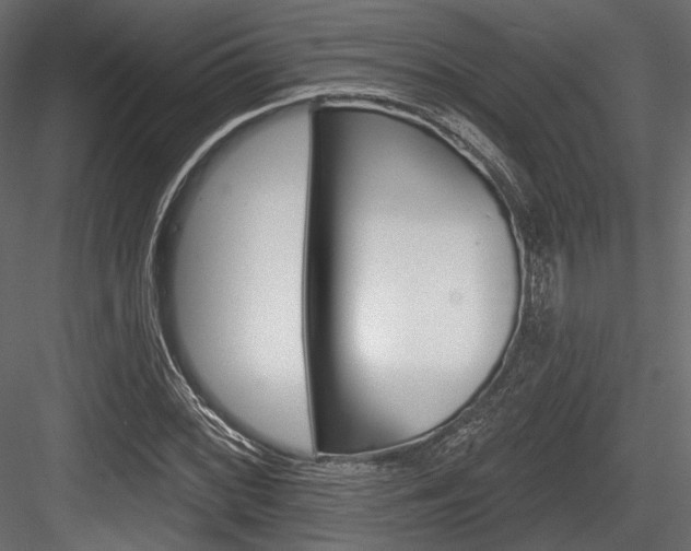 X0000084601068200702231030