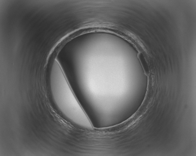 X0000084601069200702231030