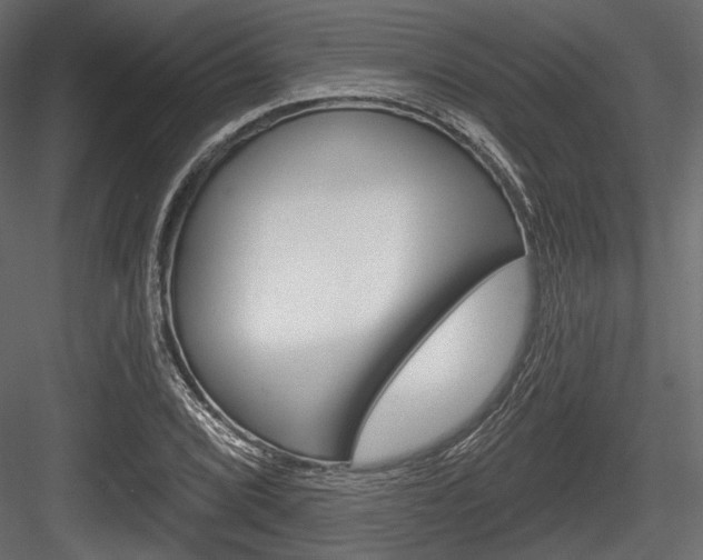 X0000084601072200702231030