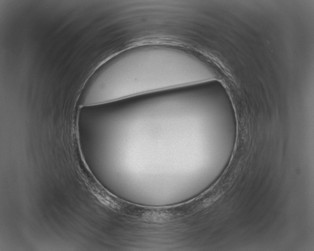 X0000084601073200702231030