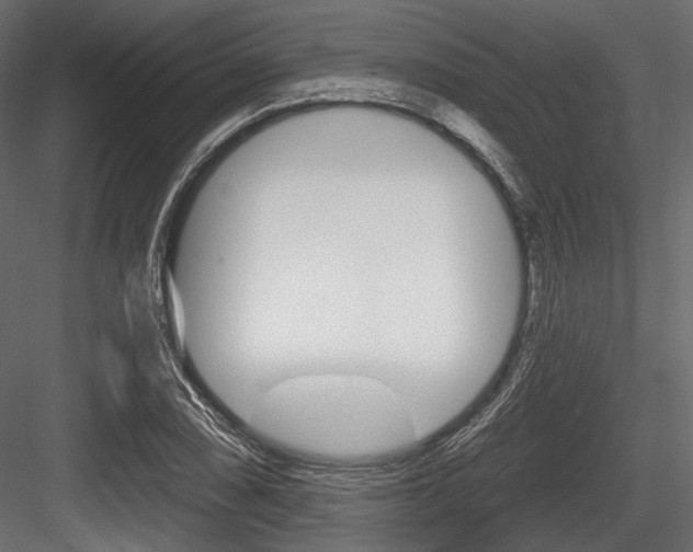 X0000084601074200702231030