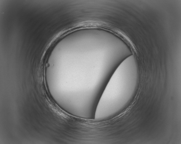 X0000084601075200702231030