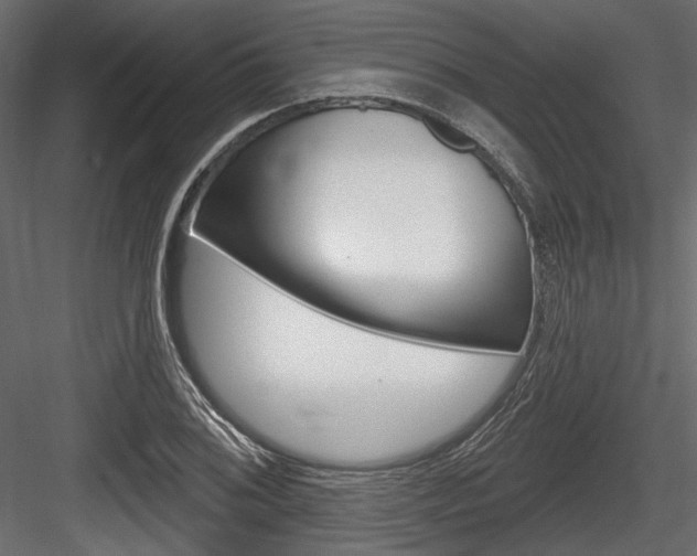 X0000084601076200702231030