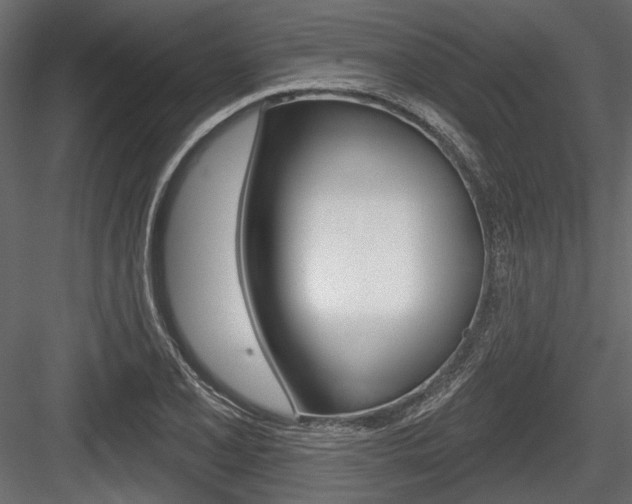 X0000084601077200702231030