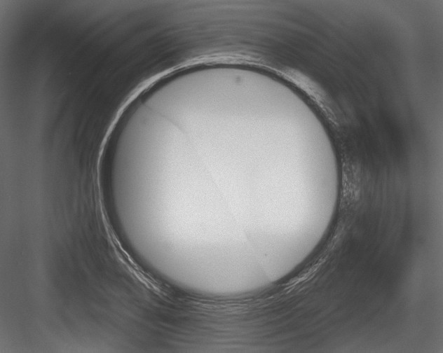 X0000084601078200702231030
