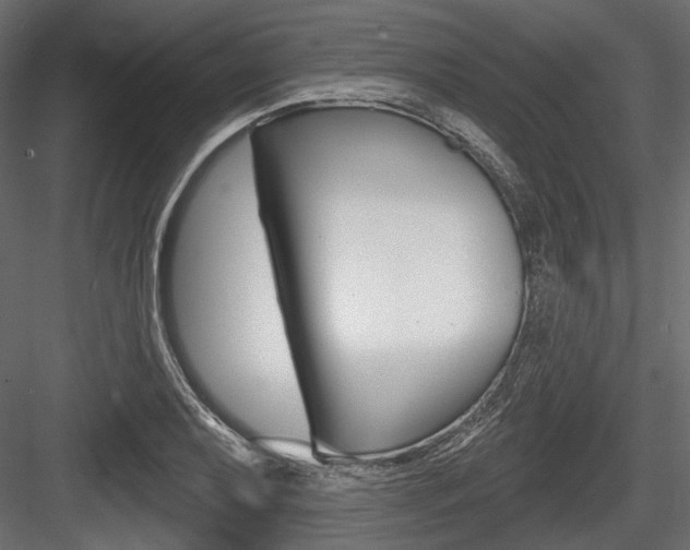 X0000084601079200702231030