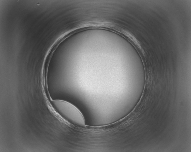 X0000084601080200702231030