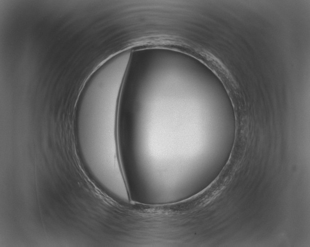 X0000084601081200702231030
