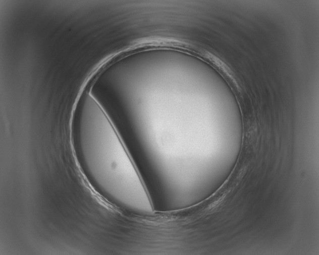 X0000084601082200702231030