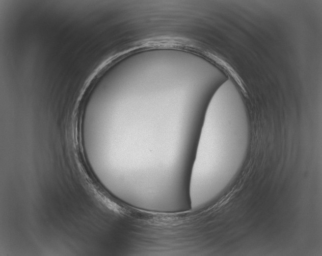 X0000084601083200702231030