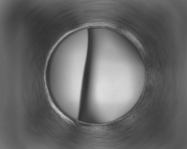 X0000084601084200702231030