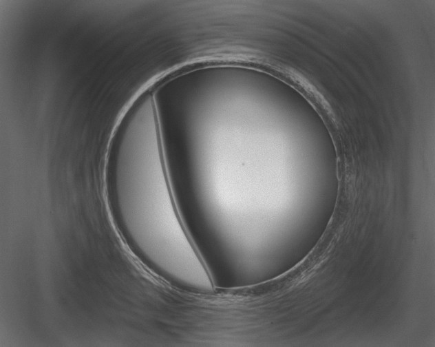 X0000084601085200702231030