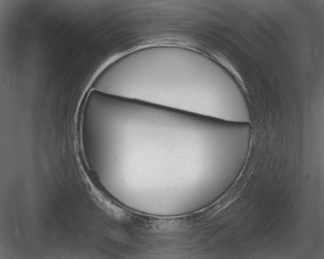X0000084601087200702231030
